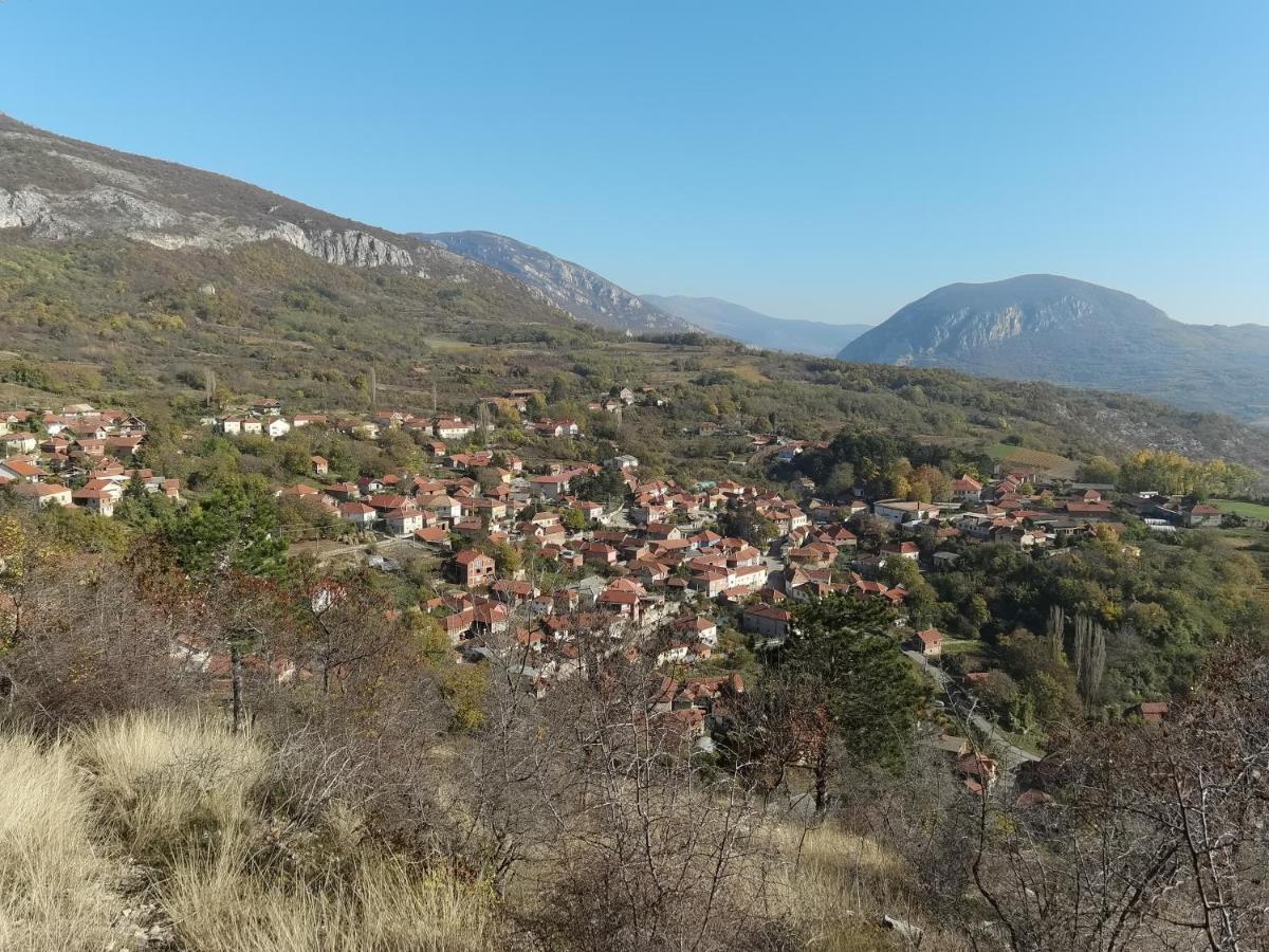 Konak -Guest House -Ramonda Serbika Ni Eksteriør bilde