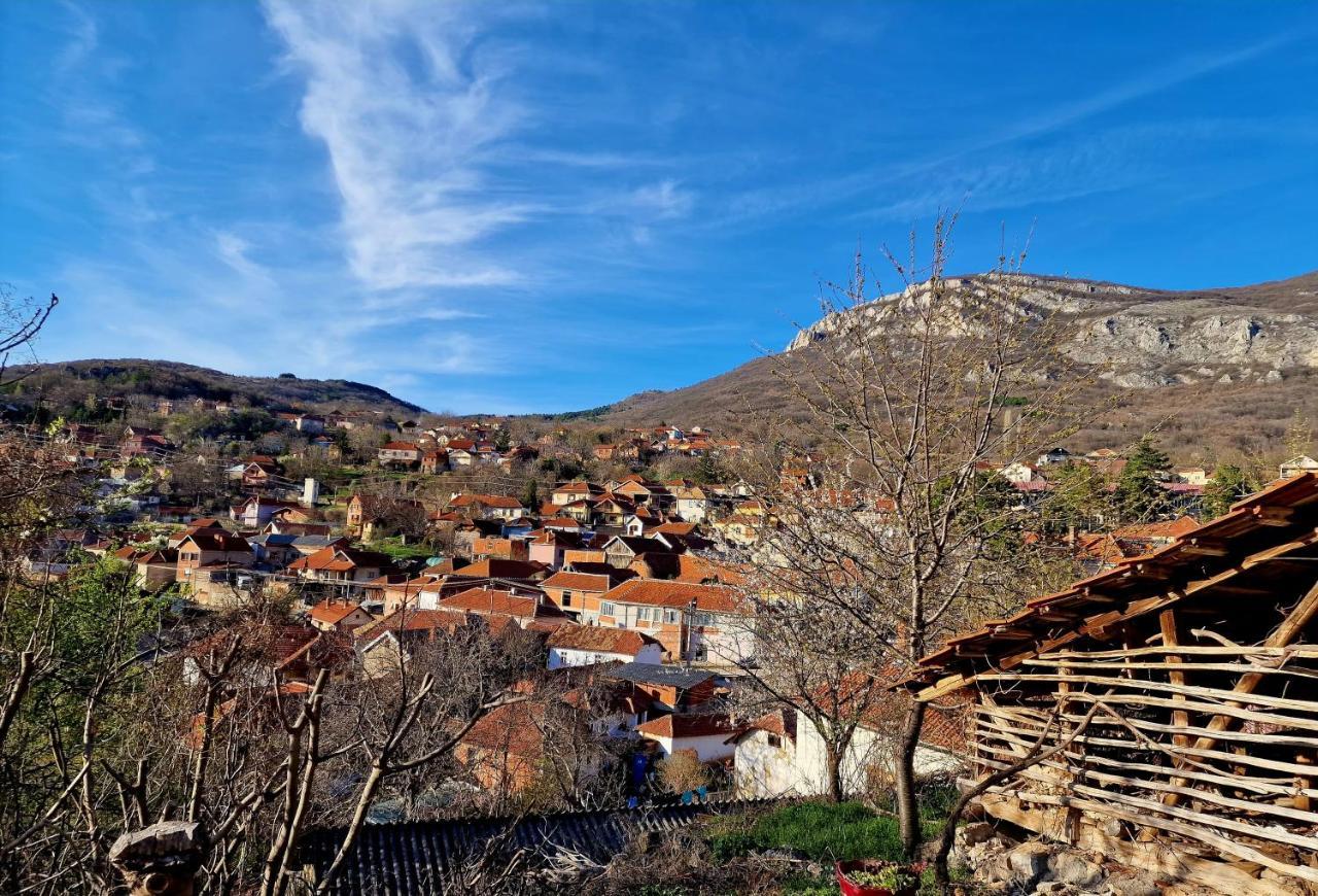 Konak -Guest House -Ramonda Serbika Ni Eksteriør bilde